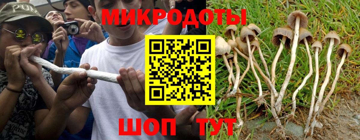Псилоцибиновые грибы Cubensis  Галлюциногенные грибы прущие грибы  Псков  как найти закладки  Вход с VPN 