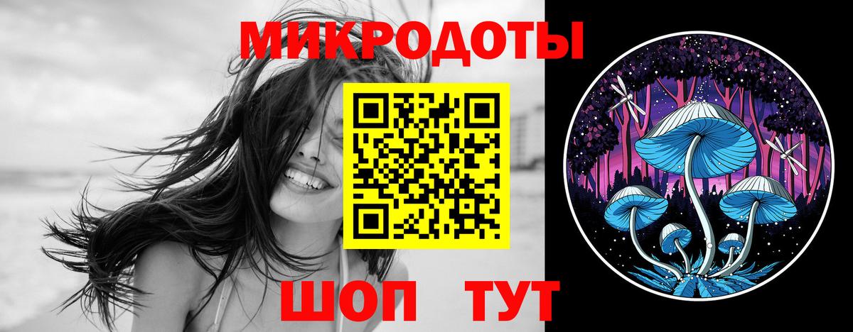 Псилоцибиновые грибы мицелий Псков